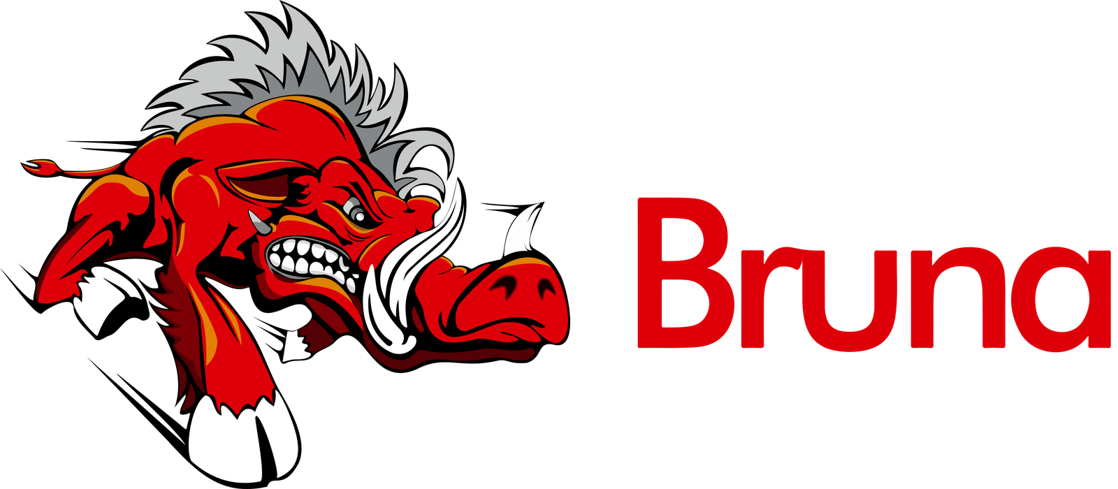 Roberto Bruna Logo